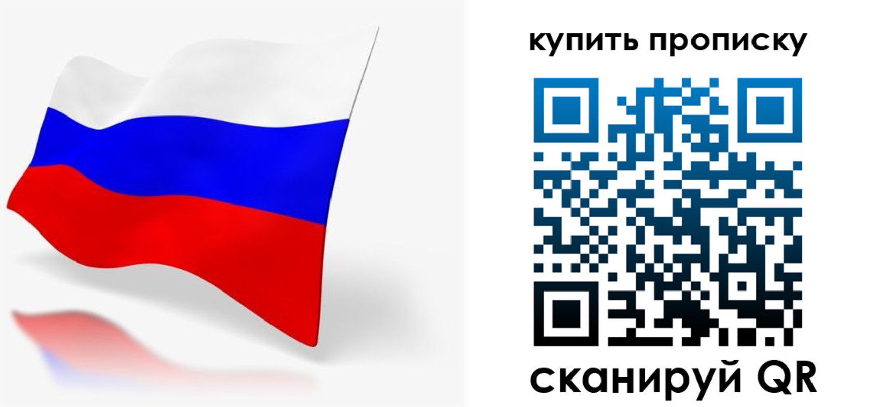 временная регистрация гарантия в Владимирской области